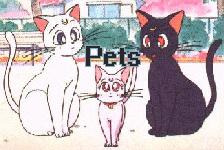Welcome to the Pets Page!
