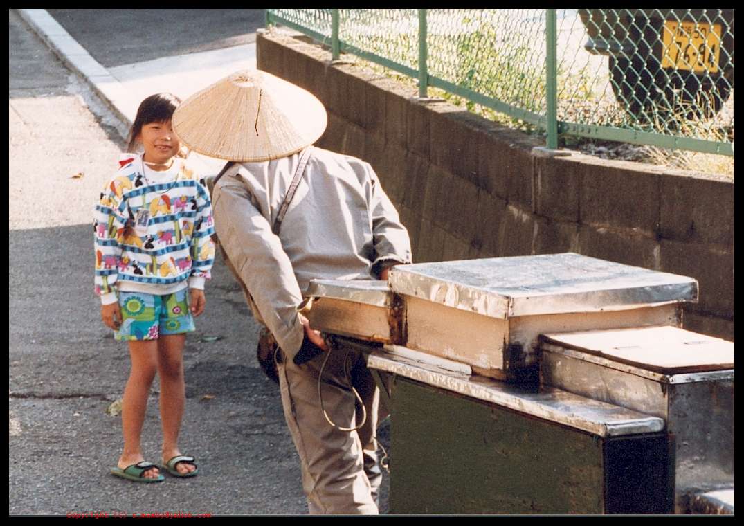 The Tofu Seller