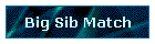 Big Sib Match