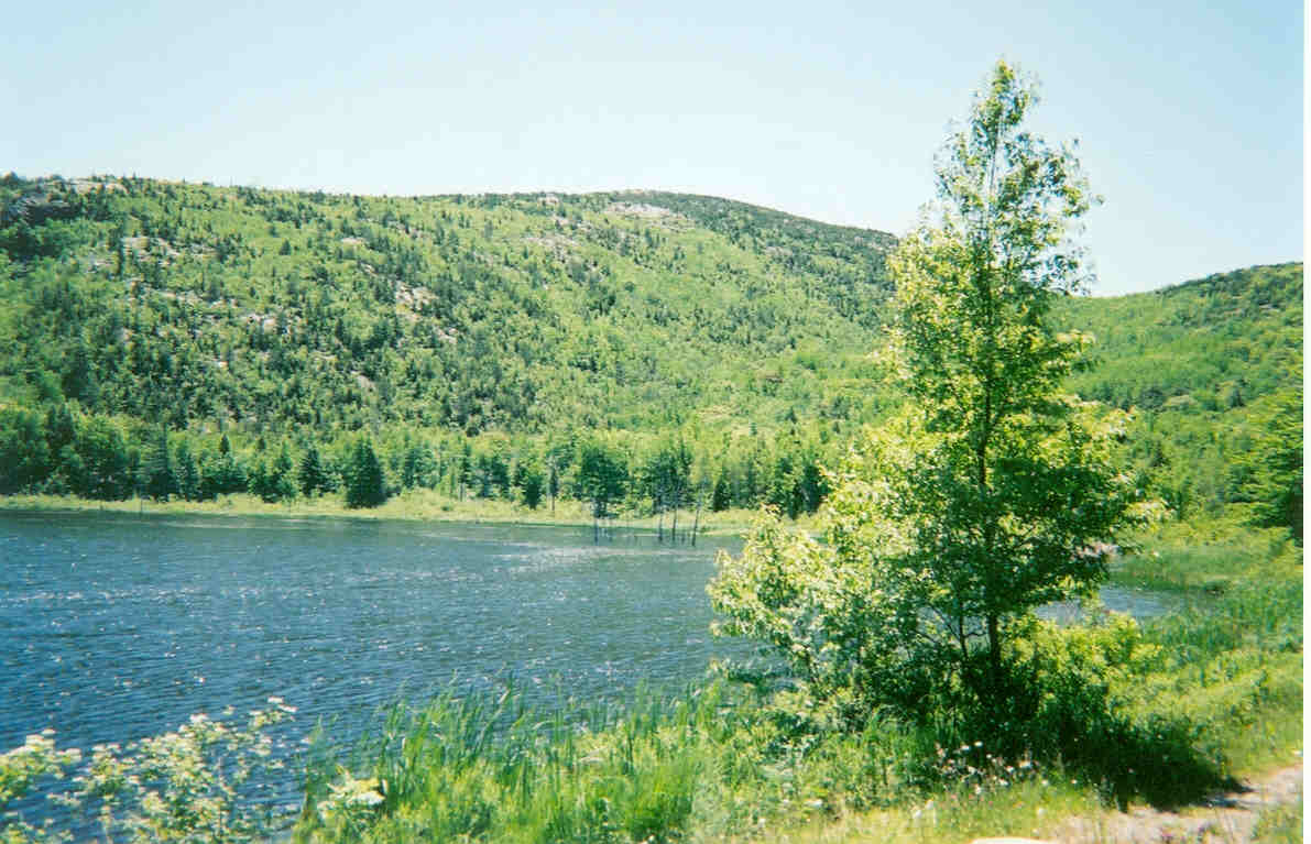 a lake we drove past while going through Acadia Nat'l Park. isn't it gorgeous?