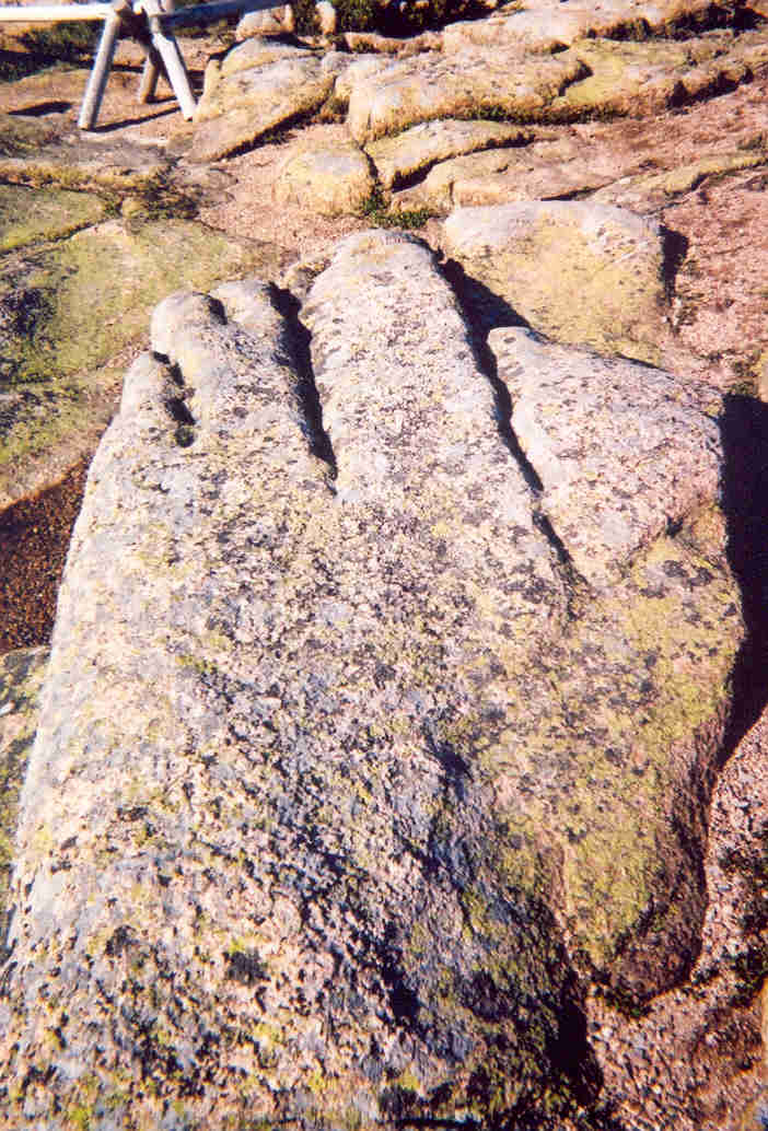 on top of Cadillac Mtn., the highest point on Eastern seaboard. Also the first place in the U.S. to be hit by the rays of the rising sun. This rock kind of looked like a giant hand. What do you think? 