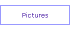 Pictures