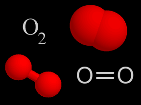 ox