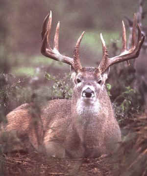 Itchy Acres Ranch Day Hunting!