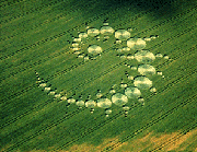 Learn About Crop Circles!!!
