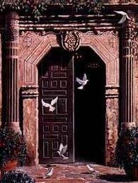The Nightingale sings, see them take flight, birds of prey & birds of the night!