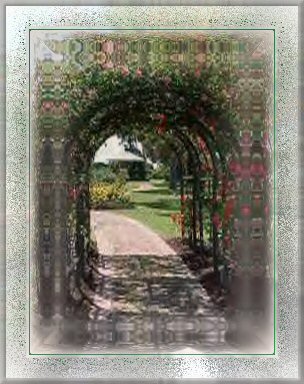 rosearbor2