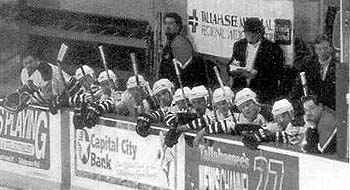 Tiger Sharks Bench