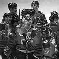 Fifth seasons sharks