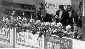 Sharks bench