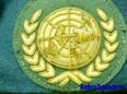 U.N. Insignia