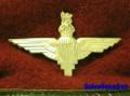 British Para Cap Badge