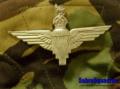 Cap with Para Badge