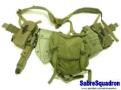 U.S. ALICE Webbing
