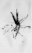 A�s (cartwheels)
