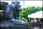 (1) Campo Grande plaza - our starting point