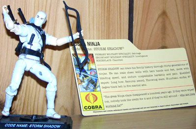 25th Storm Shadow 1984 loose