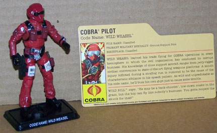 25th Wild Weasel loose