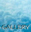 to the GALLERY