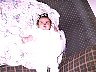 img0268.jpg