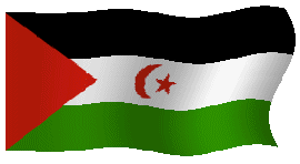 sahara.gif (36716 bytes)