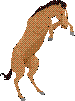 horseupl.gif (1816 bytes)