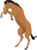 horseupr.gif (1815 bytes)