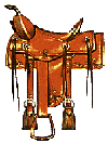 saddle1.gif (6233 bytes)