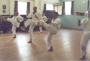 karate dodging jumping agility ducking kick leg each added help