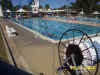 albury_pool.jpg (355003 bytes)