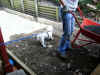 buster_wanting_to_help.jpg (348248 bytes)