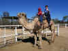 camel_ride_phyl.jpg (204865 bytes)