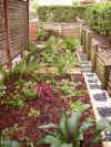 completed_garden_bed.jpg (455643 bytes)