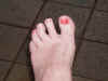 foot.jpg (220308 bytes)