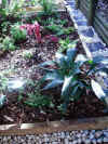 garden_and_path1.jpg (540740 bytes)