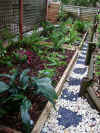 garden_complete2.jpg (221647 bytes)