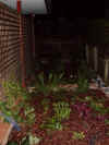 garden_complete.jpg (261671 bytes)