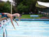 kim__dive.jpg (237420 bytes)