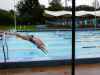 kim_stephen_dive.jpg (279195 bytes)