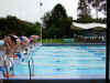 merritt_steve_scott_dive.jpg (306981 bytes)