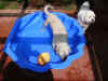 pool3.jpg (263795 bytes)