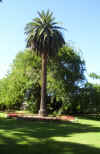 rsl4.jpg (288655 bytes)