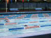 scott_stephen_swimming.jpg (263343 bytes)