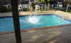 shaylene_pool.jpg (278431 bytes)