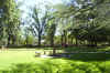 sime_botanical_garden.jpg (694365 bytes)