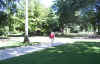simon_garden.jpg (645740 bytes)
