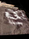 soil_in.jpg (430100 bytes)