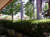 view_on_side_of_garden.jpg (183910 bytes)