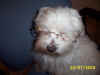 whats_mummy_doing_to_me.jpg (36883 bytes)