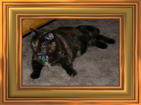 THIS IS "CASSIE" ...&nbsp; CLICK TO ENLARGE!